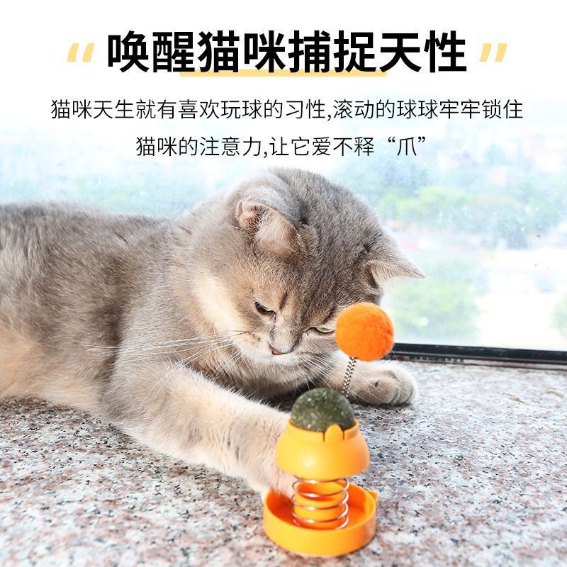 Viên Catnip cỏ mèo bạc hà gắn tường dạng xoay thư giản tiêu búi lông giảm stress cho mèo - Ảnh 3