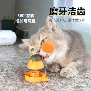 Alternative view of Viên Catnip cỏ mèo bạc hà gắn tường dạng xoay thư giản tiêu búi lông giảm stress cho mèo