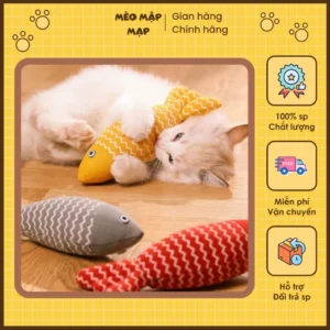 Đồ chơi cho bé mèo