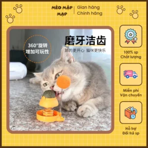 Viên Catnip cỏ mèo bạc hà gắn tường dạng xoay thư giản tiêu búi lông giảm stress cho mèo