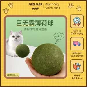 Bóng cỏ mèo, đồ chơi mèo siêu lớn, dụng cụ tự giải trí, bóng cỏ cho mèo mọc răng, đồ chơi trêu mèo, đồ dùng cho mèo