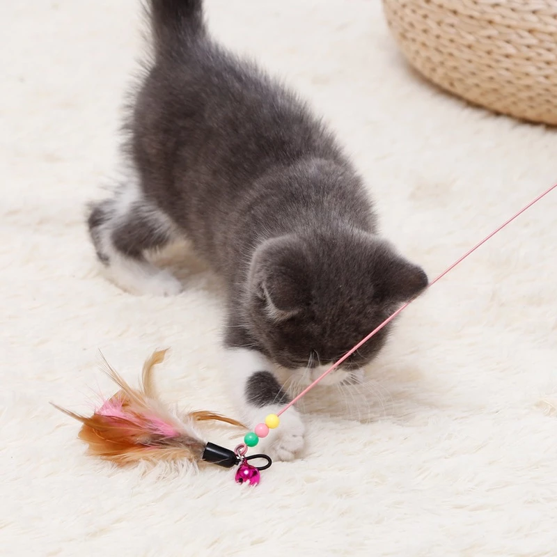 Cần Câu Lông Vũ Cho Mèo – Đồ Chơi Tương Tác Giúp Mèo Vận Động & Giải Trí 🐾 - Ảnh 2