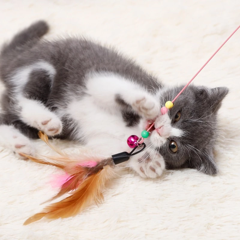 Cần Câu Lông Vũ Cho Mèo – Đồ Chơi Tương Tác Giúp Mèo Vận Động & Giải Trí 🐾 - Ảnh 3