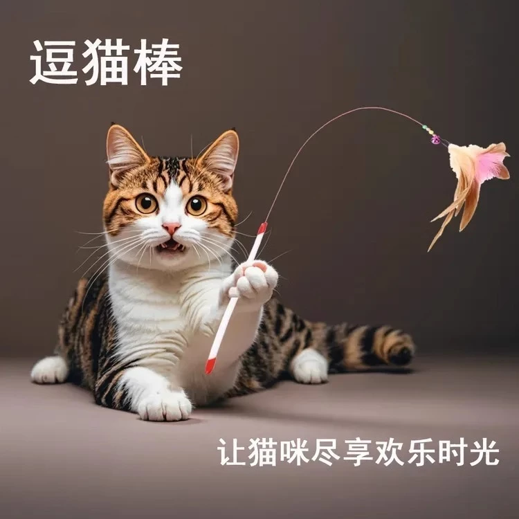 Cần Câu Lông Vũ Cho Mèo – Đồ Chơi Tương Tác Giúp Mèo Vận Động & Giải Trí 🐾 - Ảnh 4