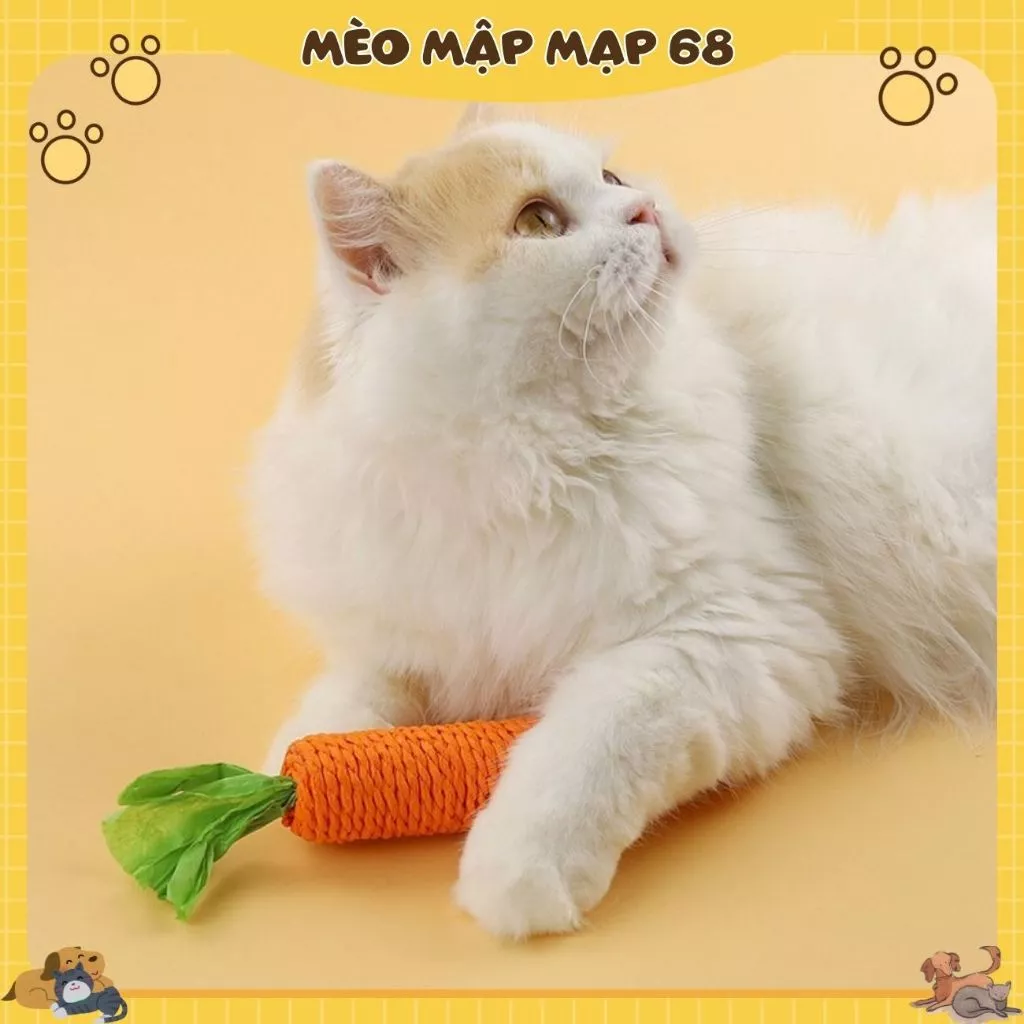 Đồ chơi gặm cắn cho mèo hình củ cà rốt - Ảnh 2