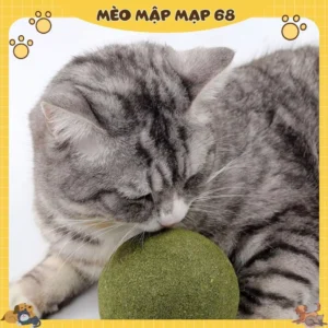 Alternative view of Bóng cỏ mèo, đồ chơi mèo siêu lớn, dụng cụ tự giải trí, bóng cỏ cho mèo mọc răng, đồ chơi trêu mèo, đồ dùng cho mèo