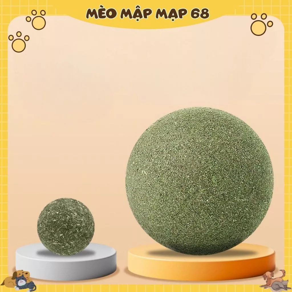 Bóng cỏ mèo, đồ chơi mèo siêu lớn, dụng cụ tự giải trí, bóng cỏ cho mèo mọc răng, đồ chơi trêu mèo, đồ dùng cho mèo - Ảnh 5