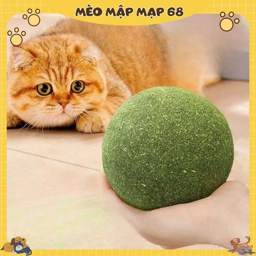 Bóng cỏ mèo, đồ chơi mèo siêu lớn, dụng cụ tự giải trí, bóng cỏ cho mèo mọc răng, đồ chơi trêu mèo, đồ dùng cho mèo - Ảnh 3