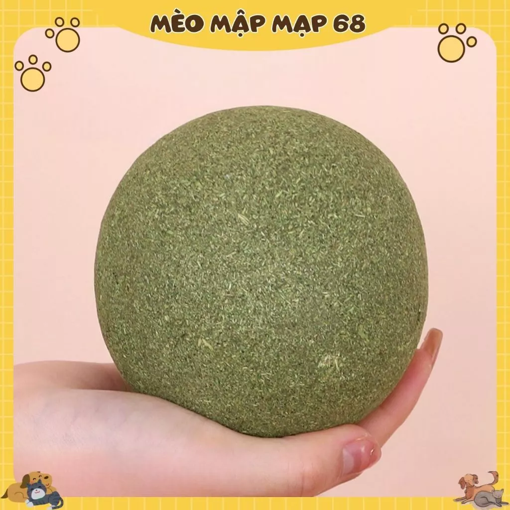 Bóng cỏ mèo, đồ chơi mèo siêu lớn, dụng cụ tự giải trí, bóng cỏ cho mèo mọc răng, đồ chơi trêu mèo, đồ dùng cho mèo - Ảnh 4