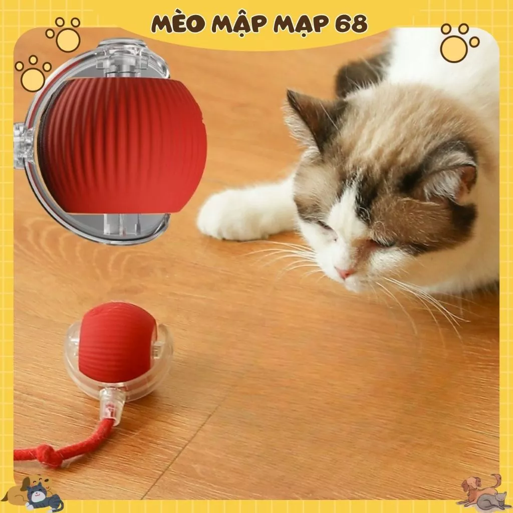 Banh Đồ Chơi Tự Động Chạy Cho Chó Mèo, Có Kèm Đuôi Chuột Tăng Thích Ứng, Giảm Stress - Ảnh 4