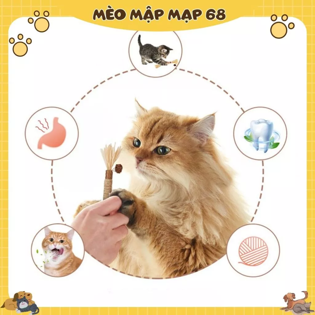 Đồ chơi cho mèo, thanh gỗ thảo mộc giúp mèo thư gián, làm sạch răng miệng - Ảnh 5