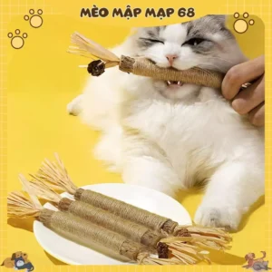 Alternative view of Đồ chơi cho mèo, thanh gỗ thảo mộc giúp mèo thư gián, làm sạch răng miệng