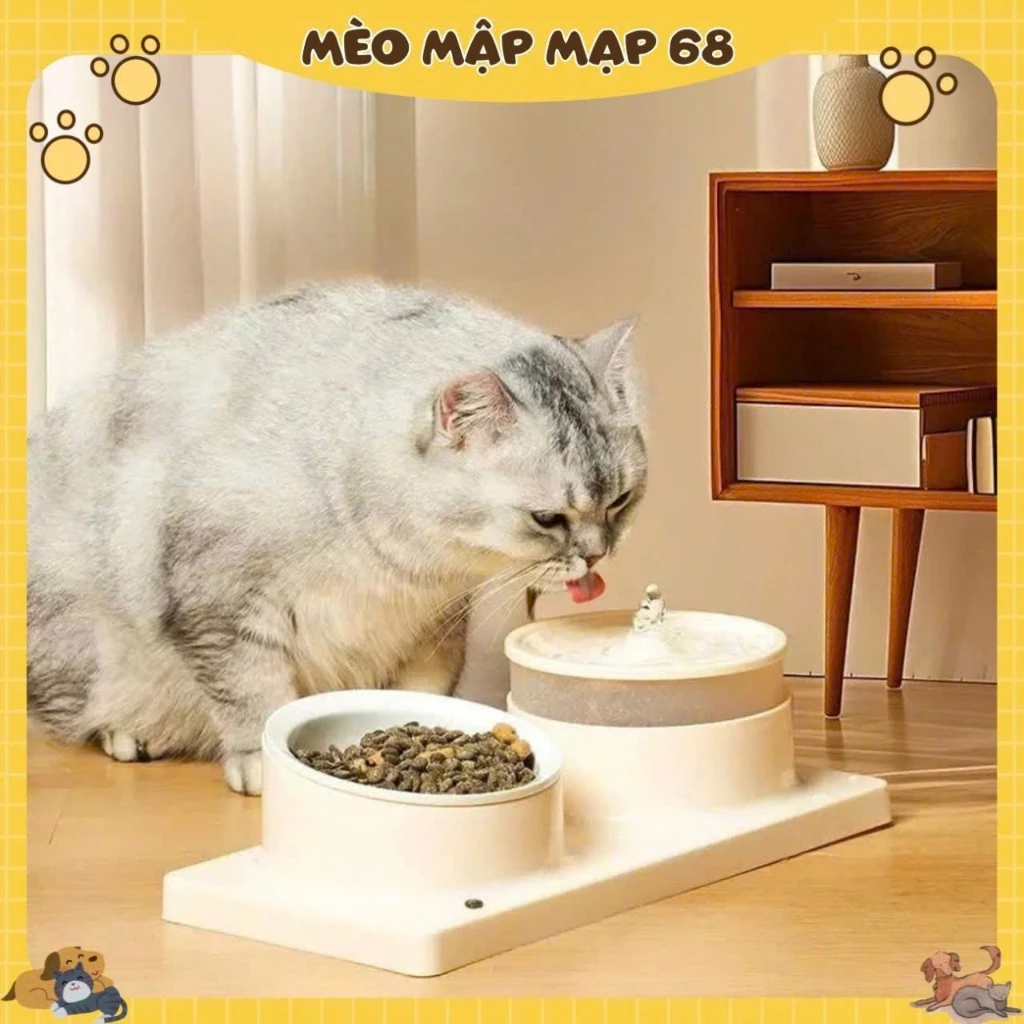 Bát ăn cho chó mèo bằng sứ chống gù chống lật Vòi nước cho thú cưng máy lọc nước cho mèo - Ảnh 2