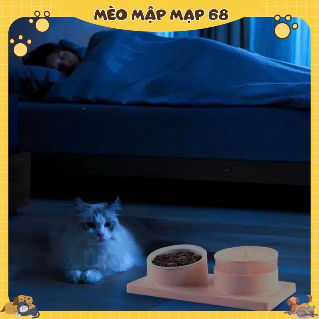 Bát ăn cho chó mèo bằng sứ chống gù chống lật Vòi nước cho thú cưng máy lọc nước cho mèo - Ảnh 3
