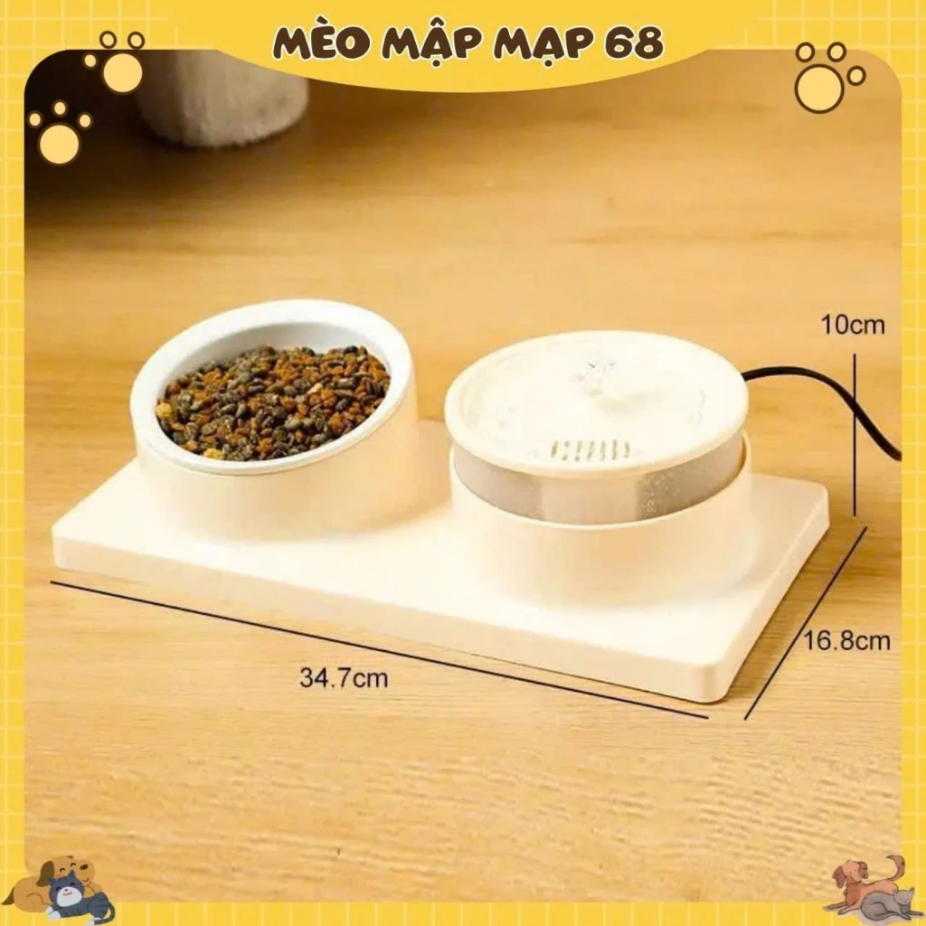 Bát ăn cho chó mèo bằng sứ chống gù chống lật Vòi nước cho thú cưng máy lọc nước cho mèo - Ảnh 5