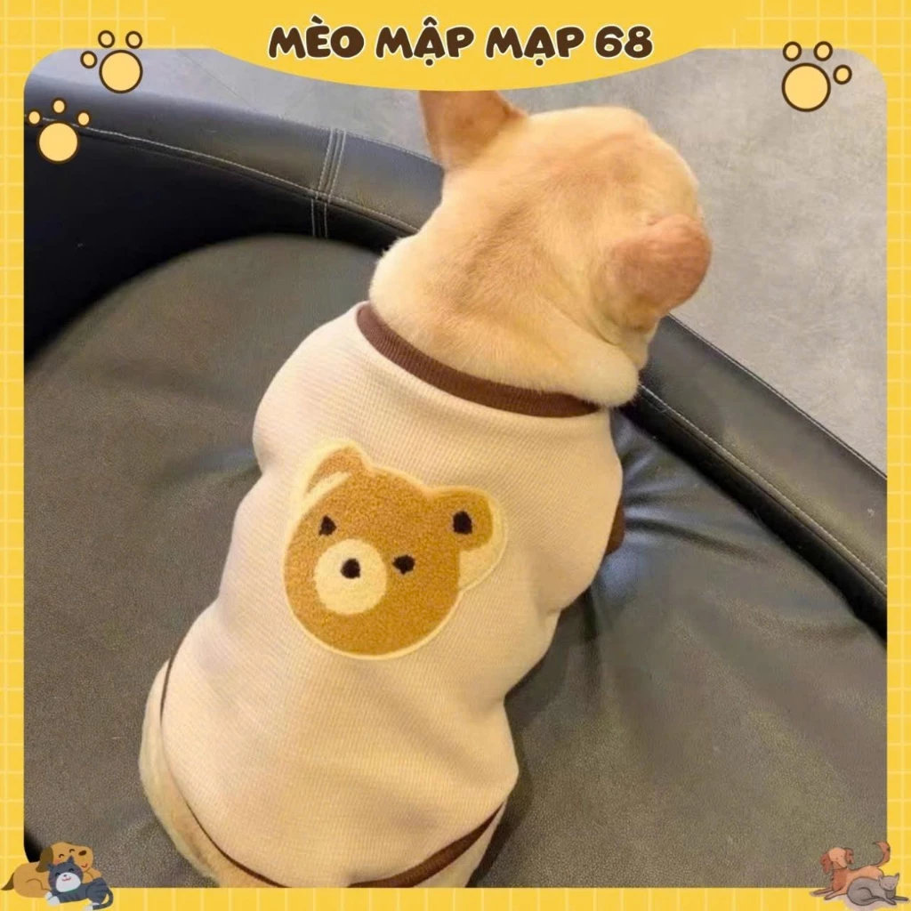 Áo Cho Mèo Họa Tiết Gấu – Áo Thun Thú Cưng Màu Be Dễ Thương, Mặc Quanh Năm - Ảnh 4