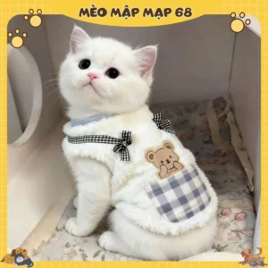 Alternative view of Áo Lông Cừu Cho Chó Mèo Phối Túi Caro Gấu Đáng Yêu, Đồ Cho Thú Cưng Mùa Đông Phong Cách Hàn Quốc