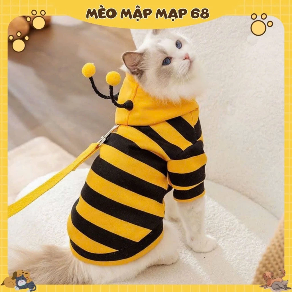 Áo Hóa Trang Ong Cho Mèo – Áo Ong Vàng Có Mũ, Trang Phục Cosplay Thú Cưng - Ảnh 2